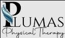 Plumas Physical Therapy logo